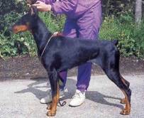 Qrella Von Silverkrohn