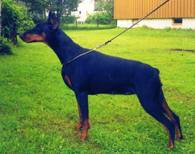 SKAMAIKA VAN HOF TER EECKHOUT