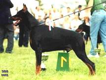 Victor di Casa Balastriere