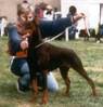 http://www.dobermann-pinscher.com/frank/pedigree/Patricie_v_Hof_Ter_Bist.jpg