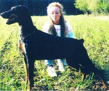 GRAVIN ARANYA V KAMAIKA