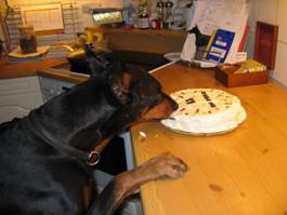 Kamaika steeling cake