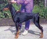 Qrella Von Silverkrohn