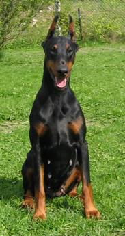 Sheyla - sitt mai 06