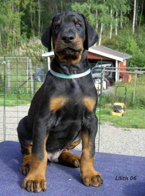 1968 ljusbla sitt fra