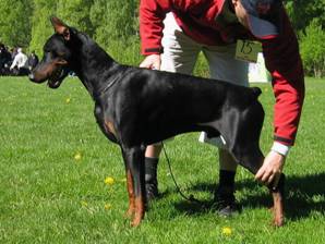 Toro stand main mai 06