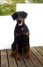 Re-exposure of Dobry sitt front