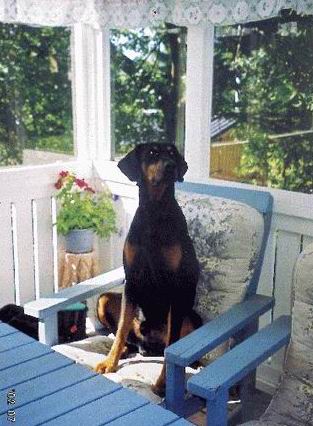 Graaf Alex V Kamaika