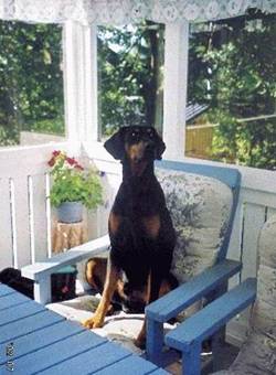 Graaf Alex V Kamaika