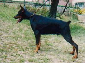 Montoya 4 months main